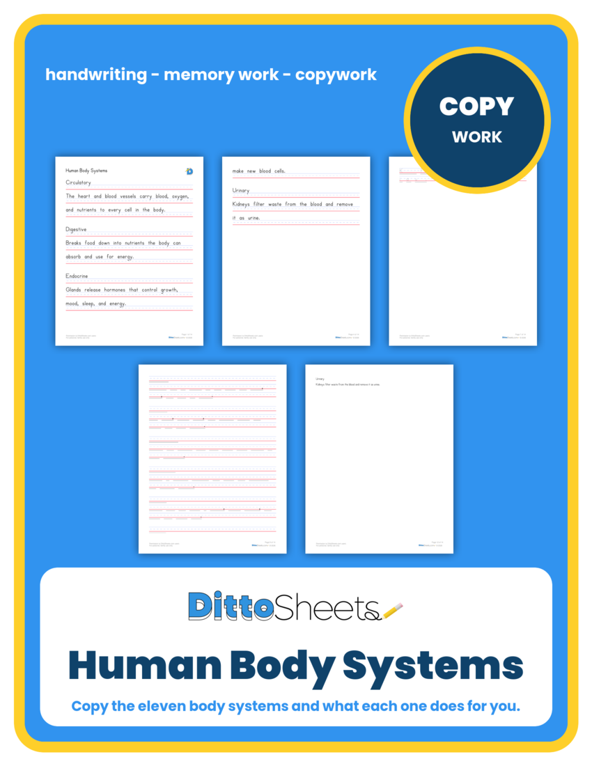 Preview of the Human Body Systems Copywork printable worksheet